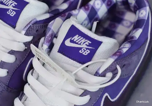 Concepts Purple SB Nike Low Lobster Dunk BV1310-555 0707